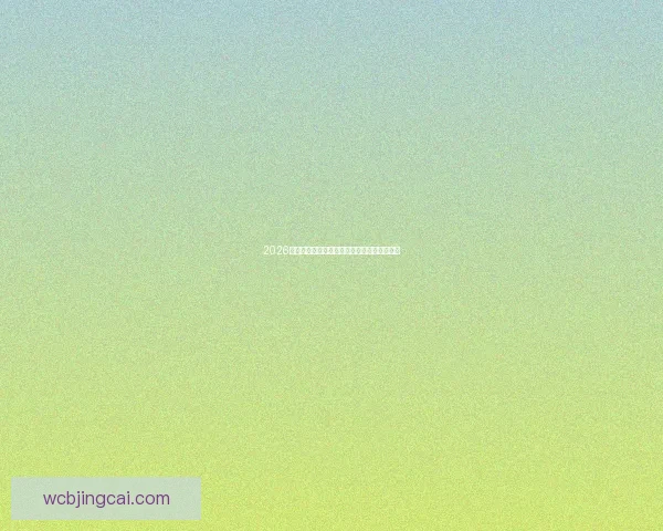 2026年世界杯竞猜平台排名分析及其影响因素探讨