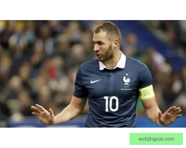 意大利足协发布公告加图索正式卸任国家队主教练